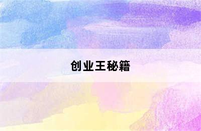 创业王秘籍