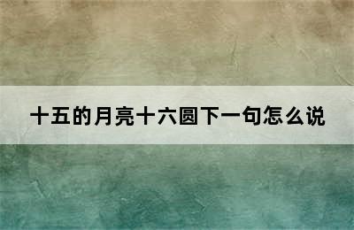 十五的月亮十六圆下一句怎么说