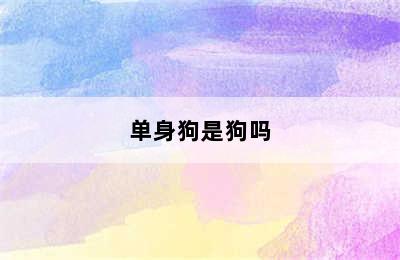 单身狗是狗吗