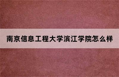 南京信息工程大学滨江学院怎么样