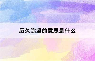 历久弥坚的意思是什么