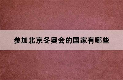 参加北京冬奥会的国家有哪些