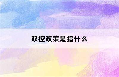 双控政策是指什么