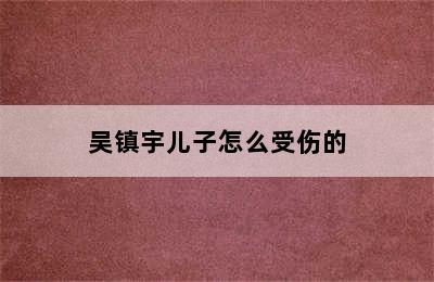 吴镇宇儿子怎么受伤的