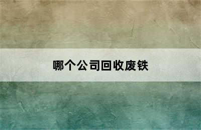 哪个公司回收废铁