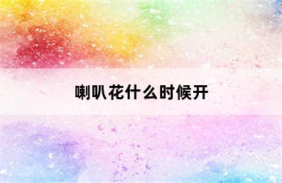 喇叭花什么时候开