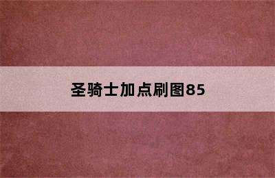 圣骑士加点刷图85