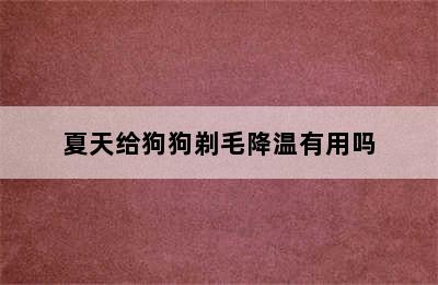 夏天给狗狗剃毛降温有用吗