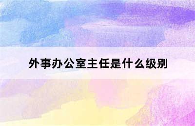 外事办公室主任是什么级别