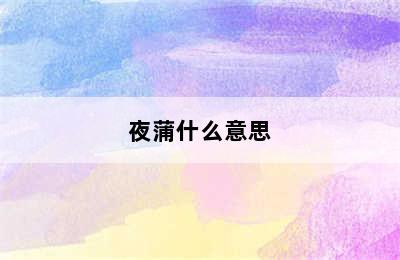 夜蒲什么意思