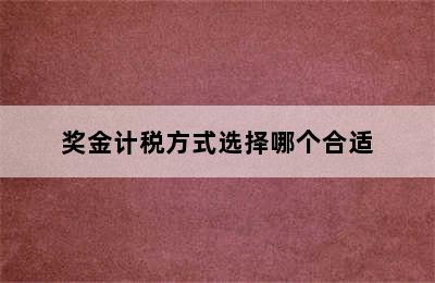 奖金计税方式选择哪个合适