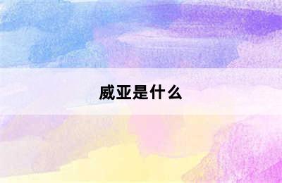 威亚是什么