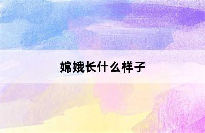 嫦娥长什么样子