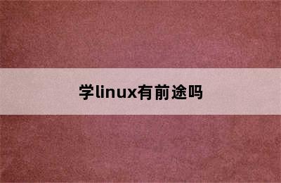 学linux有前途吗