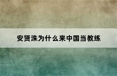 安贤洙为什么来中国当教练