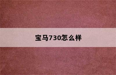 宝马730怎么样