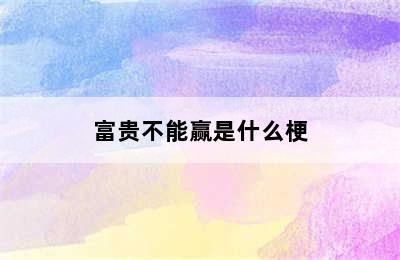 富贵不能赢是什么梗