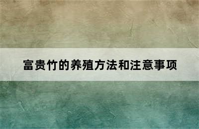 富贵竹的养殖方法和注意事项