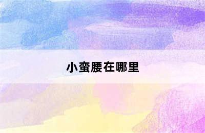 小蛮腰在哪里