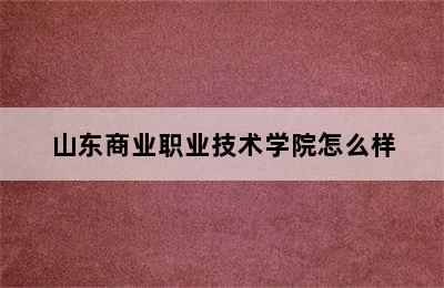 山东商业职业技术学院怎么样