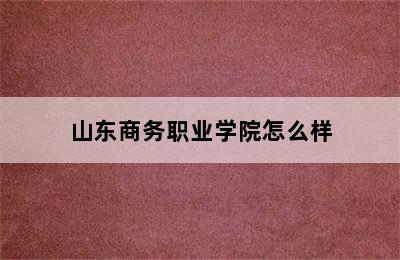 山东商务职业学院怎么样