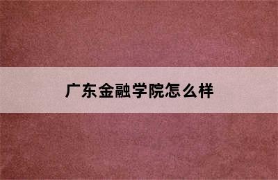 广东金融学院怎么样