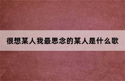 很想某人我最思念的某人是什么歌