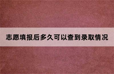 志愿填报后多久可以查到录取情况