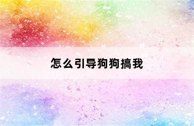 怎么引导狗狗搞我