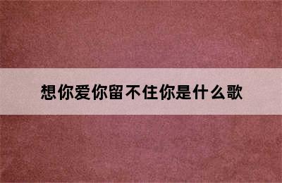 想你爱你留不住你是什么歌