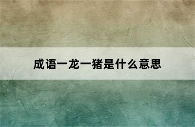 成语一龙一猪是什么意思