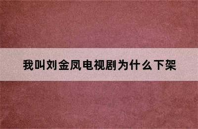 我叫刘金凤电视剧为什么下架