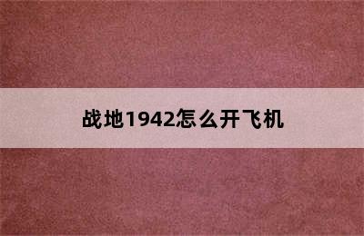 战地1942怎么开飞机