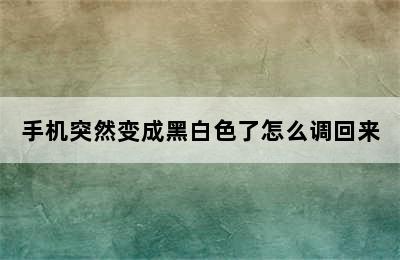 手机突然变成黑白色了怎么调回来