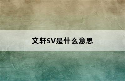 文轩SV是什么意思