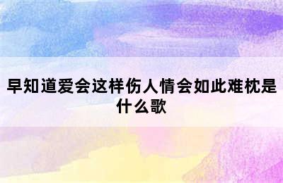 早知道爱会这样伤人情会如此难枕是什么歌