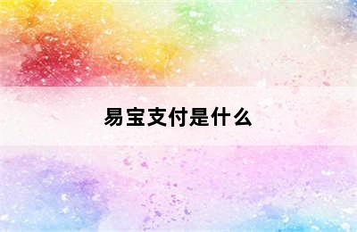 易宝支付是什么