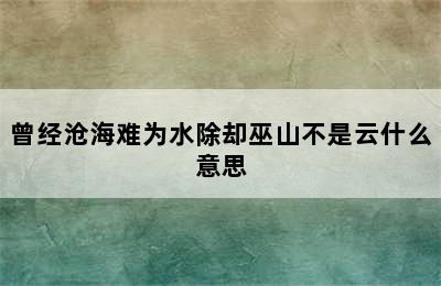 曾经沧海难为水除却巫山不是云什么意思