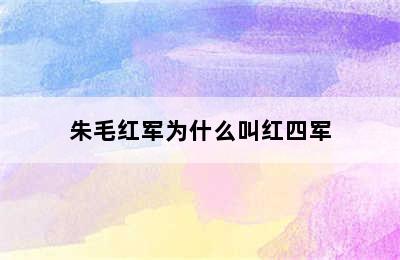 朱毛红军为什么叫红四军