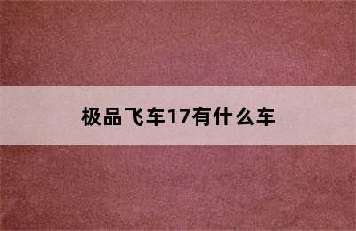 极品飞车17有什么车