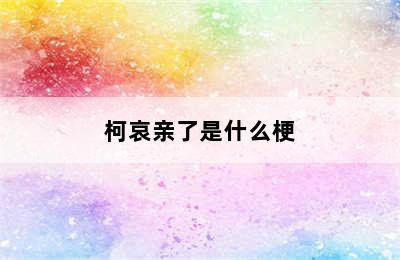 柯哀亲了是什么梗