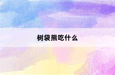 树袋熊吃什么