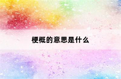 梗概的意思是什么