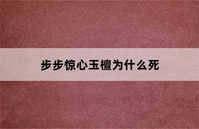 步步惊心玉檀为什么死