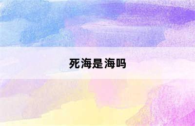 死海是海吗