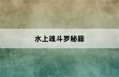 水上魂斗罗秘籍