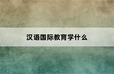 汉语国际教育学什么