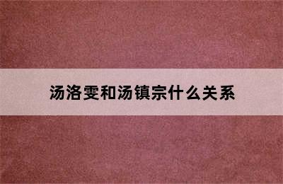 汤洛雯和汤镇宗什么关系