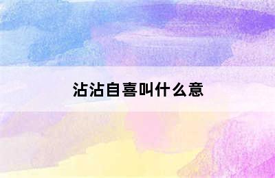 沾沾自喜叫什么意