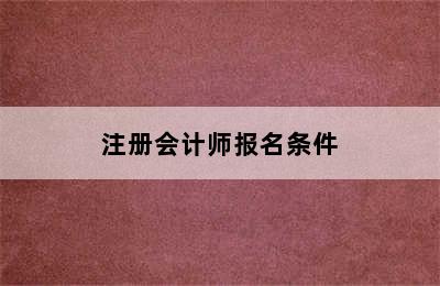 注册会计师报名条件